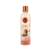 SHAMPOO CEBOLLA Y ARGAN 400ML